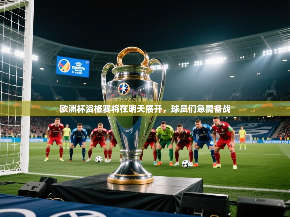 欧洲杯资格赛将在明天展开，球员们急需备战  第2张