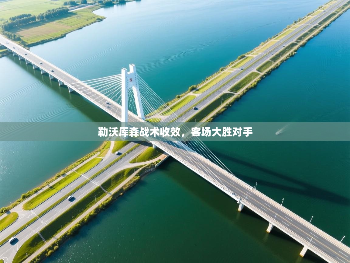 勒沃库森战术收效，客场大胜对手  第1张