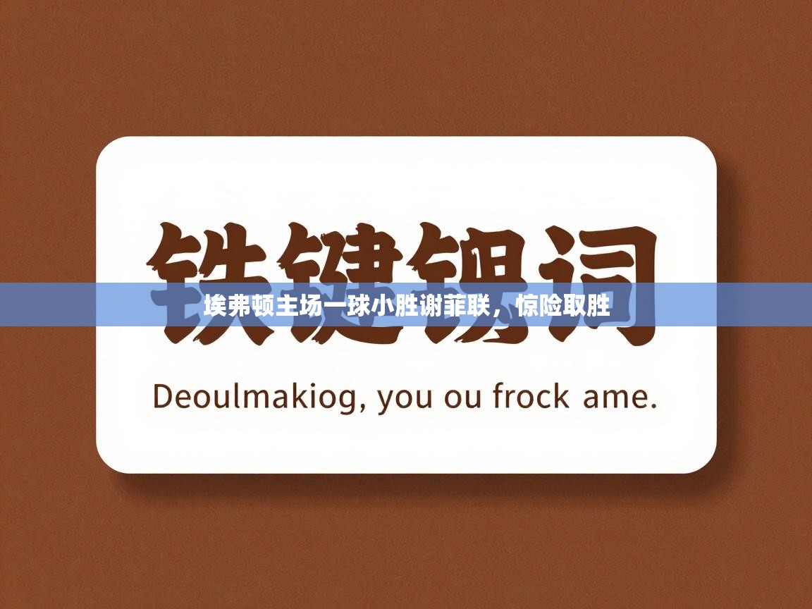 埃弗顿主场一球小胜谢菲联，惊险取胜  第2张